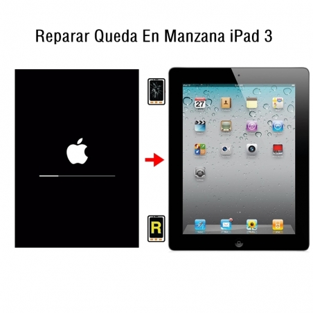 Reparar Queda En Manzana iPad 3