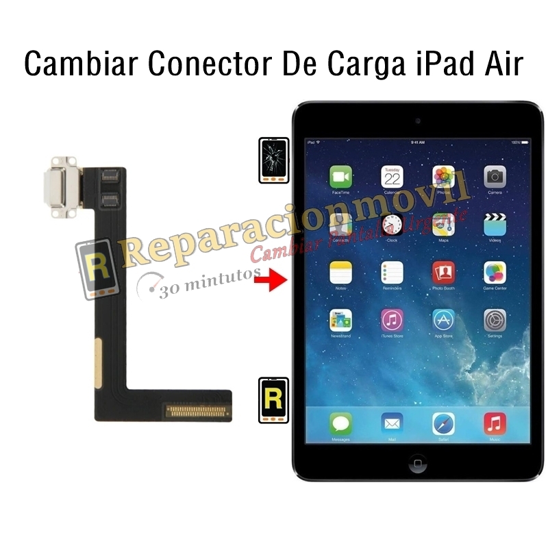 Cambiar Conector De Carga iPad Air