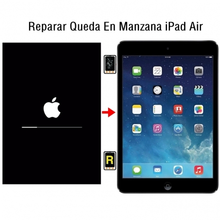 Reparar Queda En Manzana iPad Air