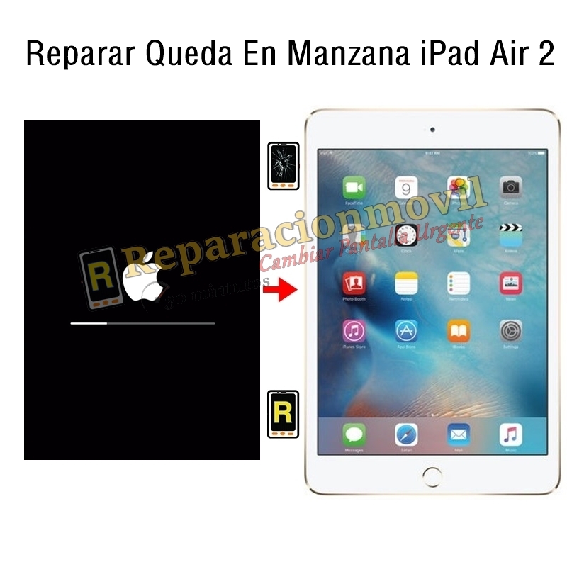 Reparar Queda En Manzana iPad Air 2