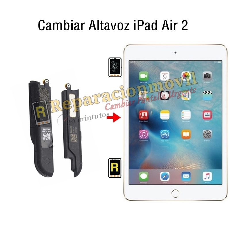 Cambiar Altavoz iPad Air 2