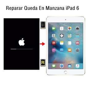 Reparar Queda En Manzana iPad 6 2018