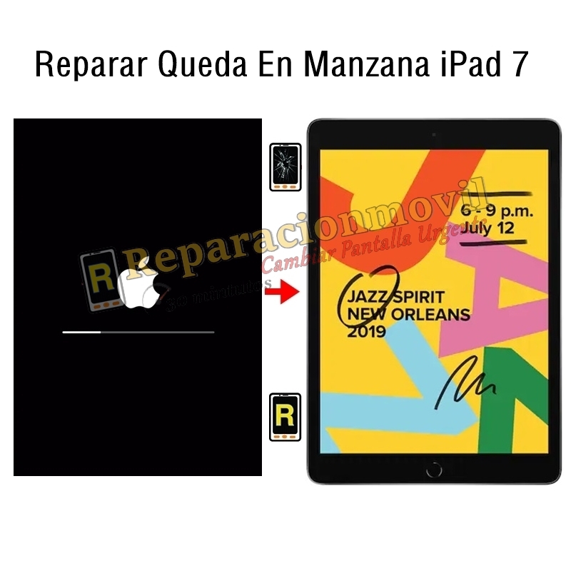 Reparar Queda En Manzana iPad 7 2019