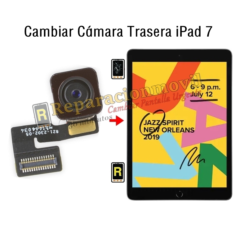 Cambiar Cámara Trasera iPad 7 2019