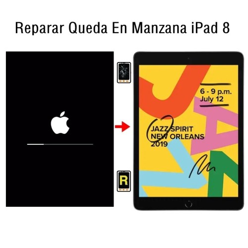Reparar Queda En Manzana iPad 8 2020