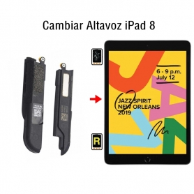 Cambiar Altavoz iPad 8