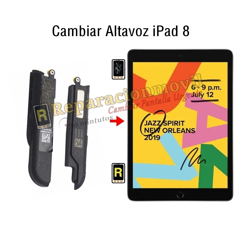 Cambiar Altavoz iPad 8 2020