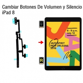 Cambiar Botones De Volumen y Silencio iPad 8