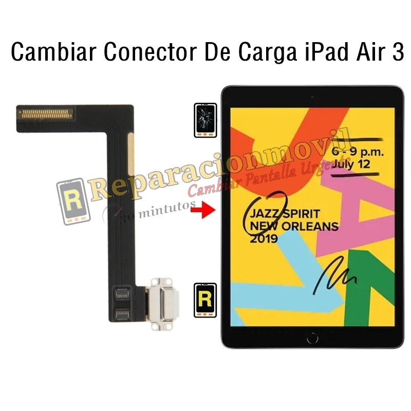 Cambiar Conector De Carga iPad Air 3