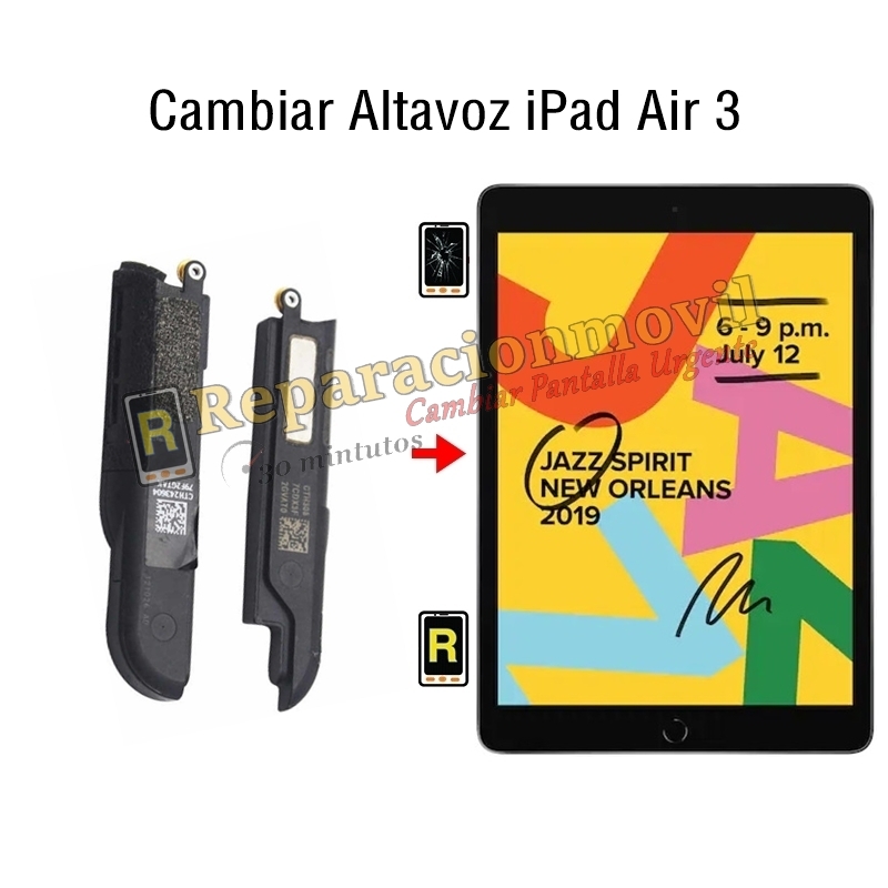 Cambiar Altavoz iPad Air 3