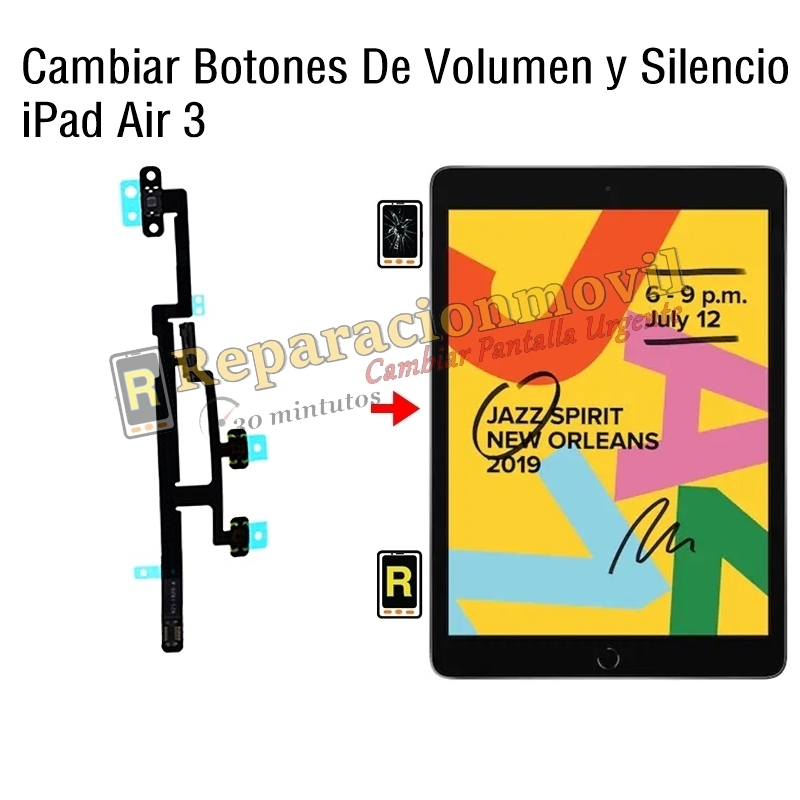 Cambiar Botones De Volumen y Silencio iPad Air 3