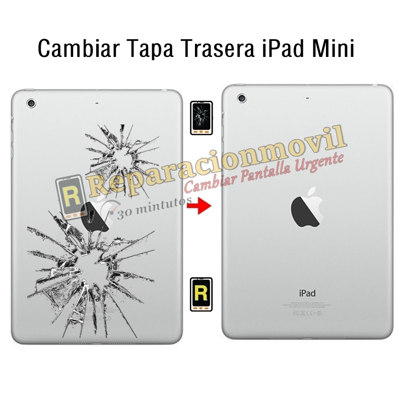 Cambiar Tapa Trasera iPad Mini