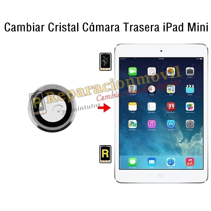 Cambiar Cristal Cámara Trasera iPad Mini
