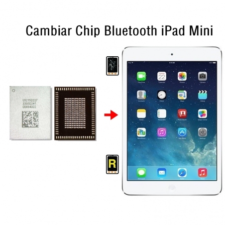 Cambiar Chip Bluetooth iPad Mini