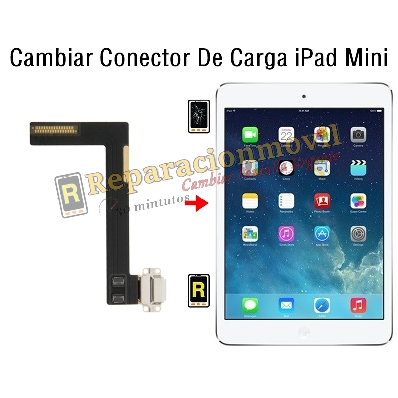 Cambiar Conector De Carga iPad Mini