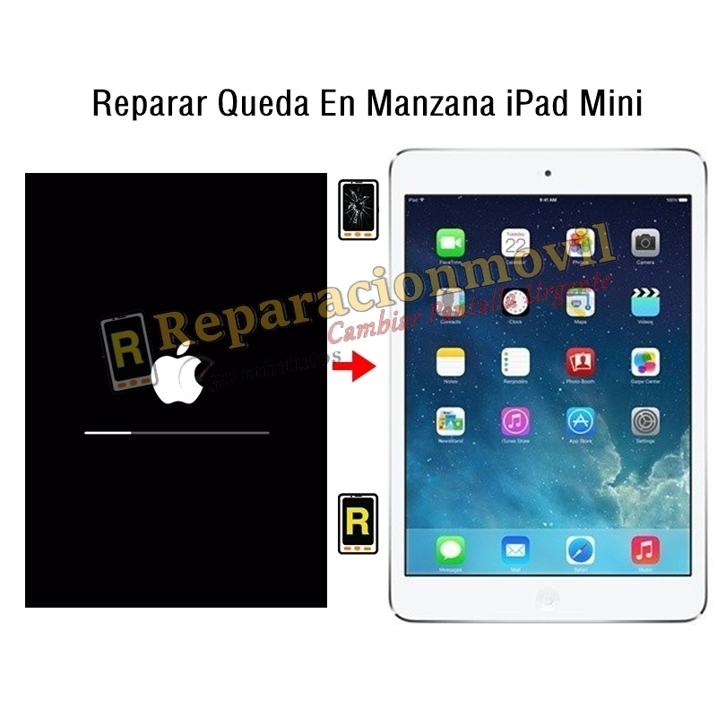 Reparar Queda En Manzana iPad Mini