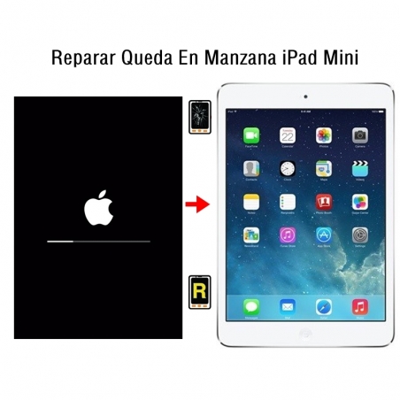 Reparar Queda En Manzana iPad Mini