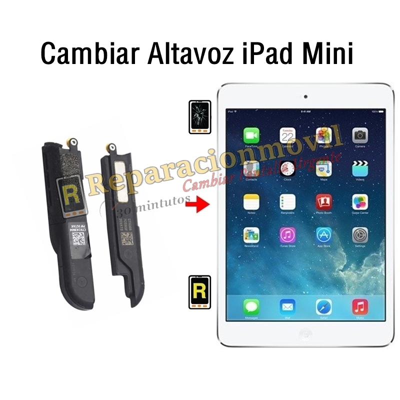 Cambiar Altavoz iPad Mini