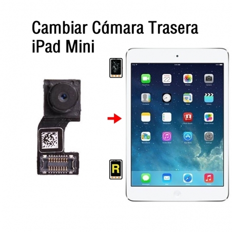 Cambiar Cámara Trasera iPad Mini