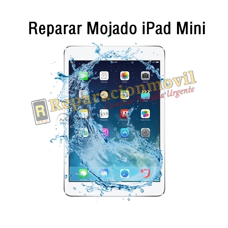 Reparar Mojado iPad Mini