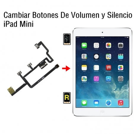 Cambiar Botones De Volumen y Silencio iPad Mini