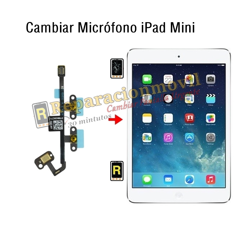 Cambiar Micrófono iPad Mini