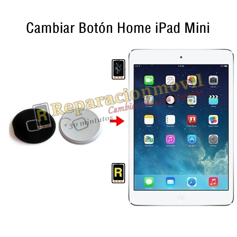 Cambiar Botón Home iPad Mini