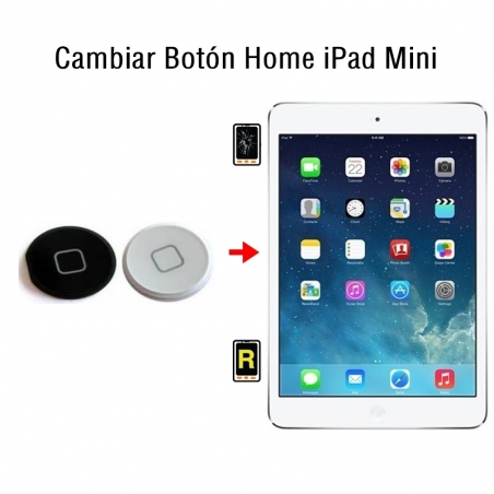 Cambiar Botón Home iPad Mini