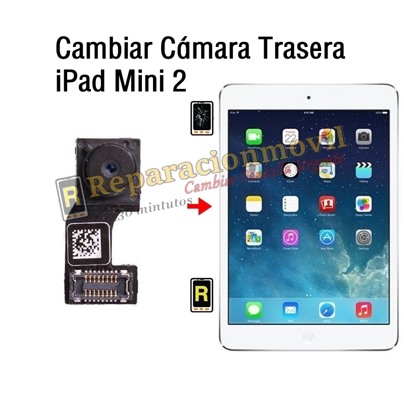 Cambiar Cámara Trasera iPad Mini 2