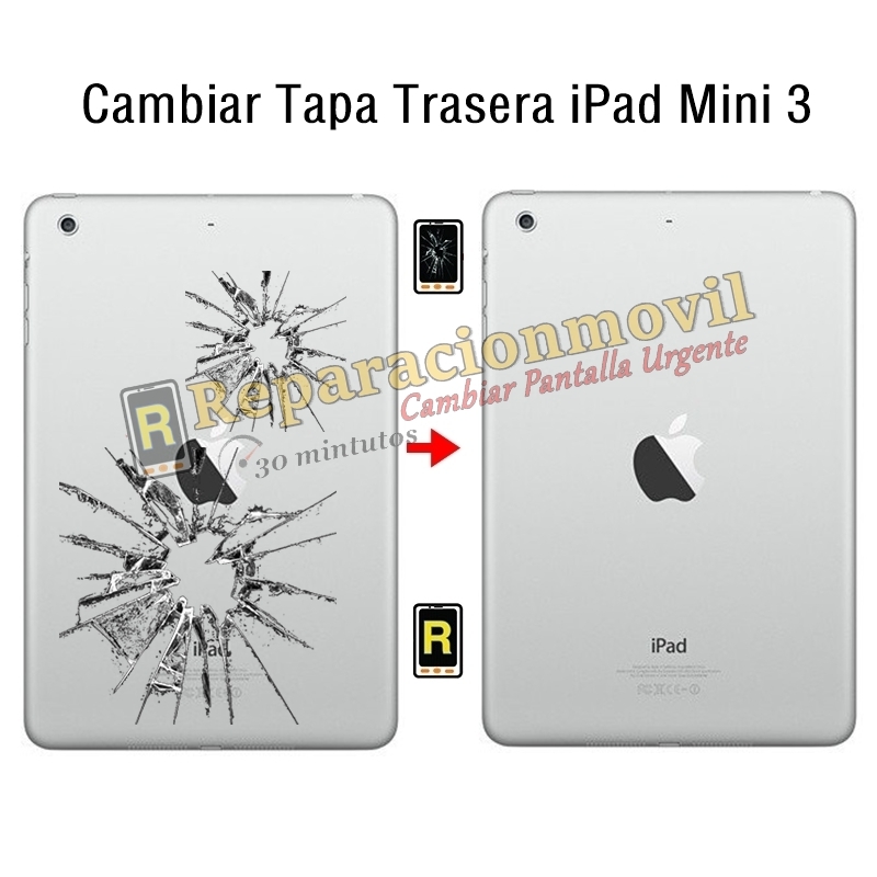 Cambiar Tapa Trasera iPad Mini 3