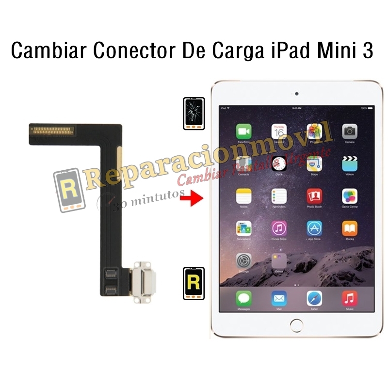 Cambiar Conector De Carga iPad Mini 3