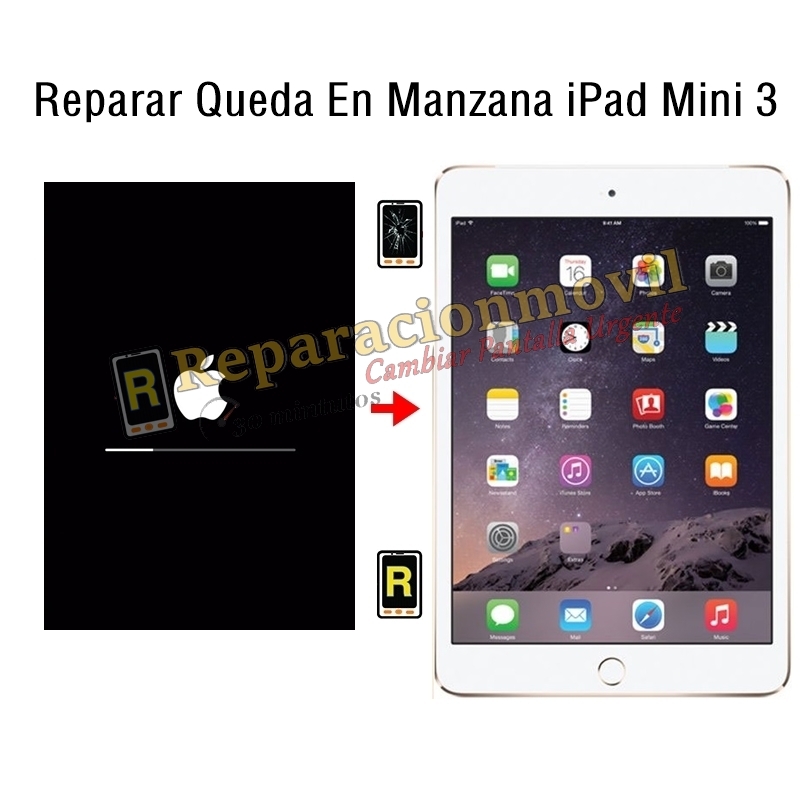 Reparar Queda En Manzana iPad Mini 3