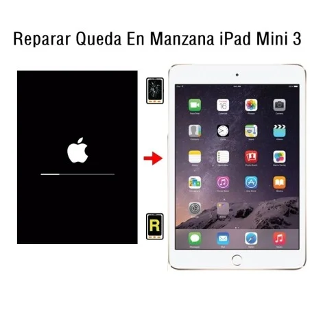 Reparar Queda En Manzana iPad Mini 3