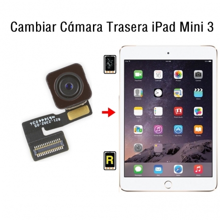 Cambiar Cámara Trasera iPad Mini 3