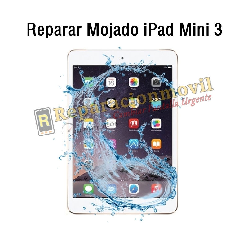 Reparar Mojado iPad Mini 3