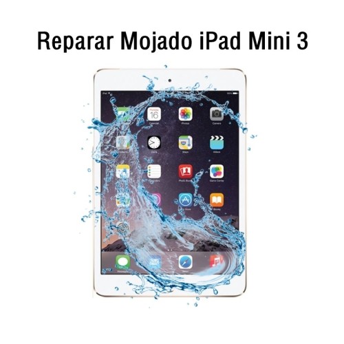 Reparar Mojado iPad Mini 3