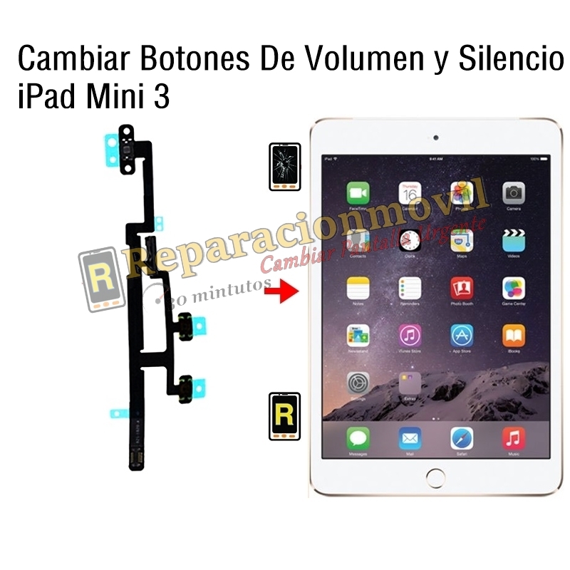 Cambiar Botones De Volumen y Silencio iPad Mini 3