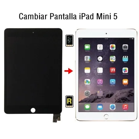 Cambiar Pantalla iPad Mini 5