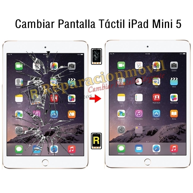 Cambiar Pantalla Táctil iPad Mini 5