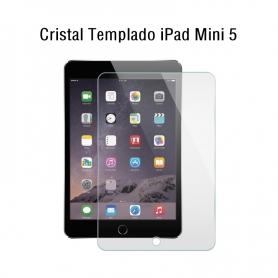 Protector De Pantalla Para iPad Mini 5