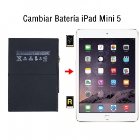 Cambiar Batería iPad Mini 5