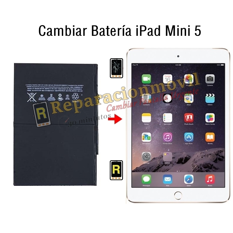 Cambiar Batería iPad Mini 5
