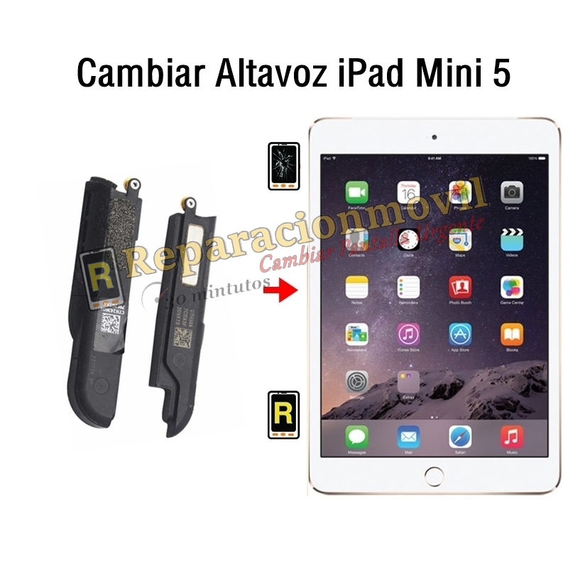 Cambiar Altavoz iPad Mini 5