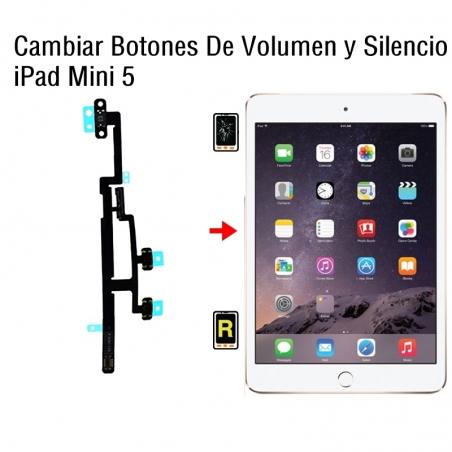 Cambiar Botones De Volumen y Silencio iPad Mini 5