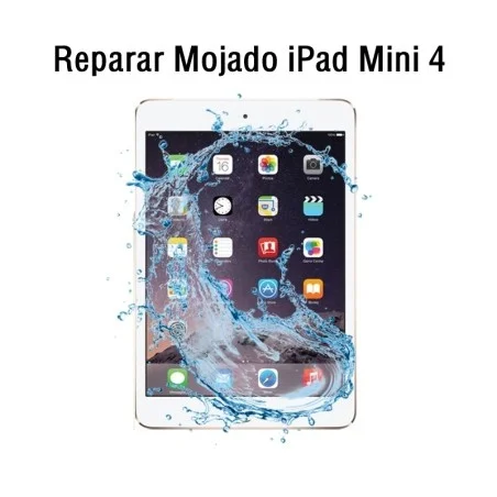 Reparar Mojado iPad Mini 4