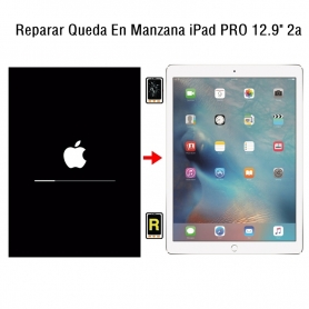 Reparar Queda En Manzana iPad Pro 12.9 2nd Gen