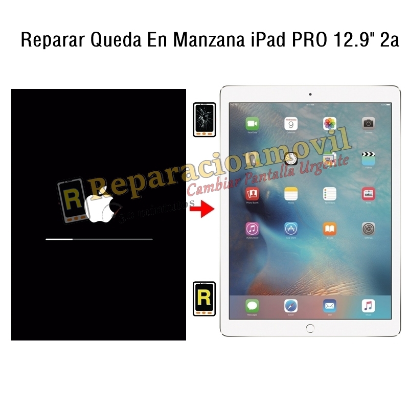Reparar Queda En Manzana iPad Pro 12.9 2017