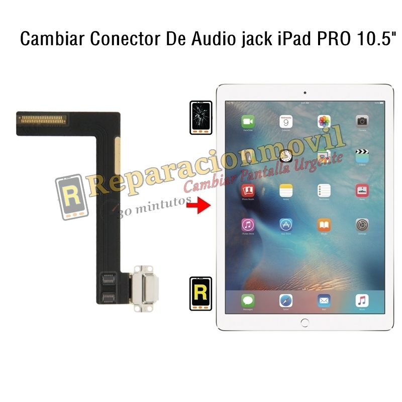 Cambiar Conector De Audio jack iPad Pro 10.5