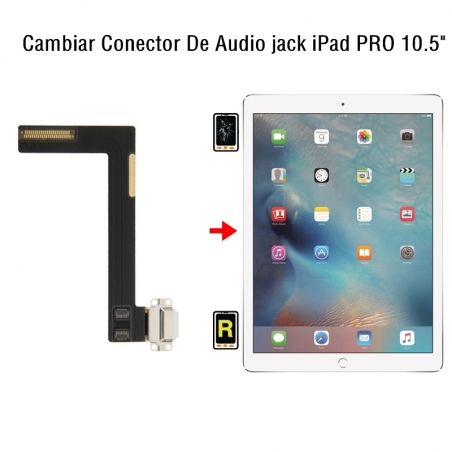 Cambiar Conector De Audio jack iPad Pro 10.5