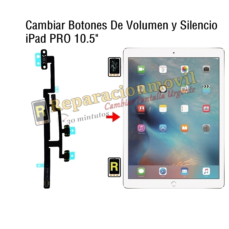 Cambiar Botones De Volumen y Silencio iPad Pro 10.5